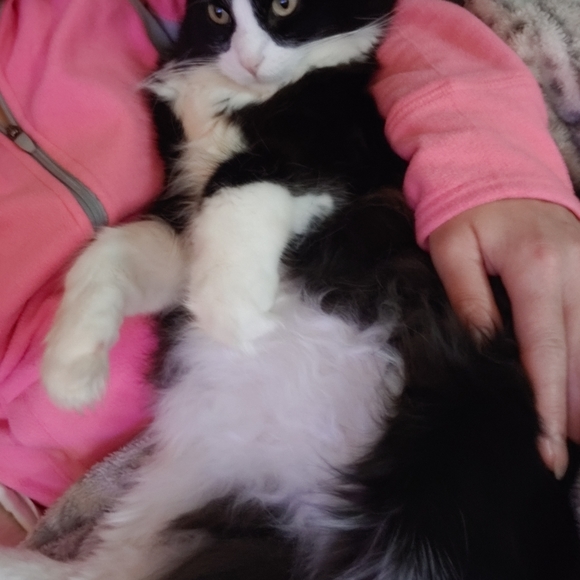 Lazy TV day๐๐บ ๐ - Picture 5 of 16